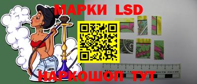 гидра Будённовск