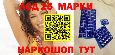 гидра Будённовск
