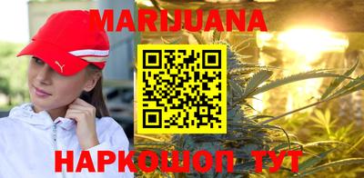 гидра Будённовск