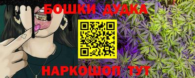 гидра Будённовск