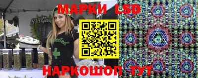 гидра Будённовск